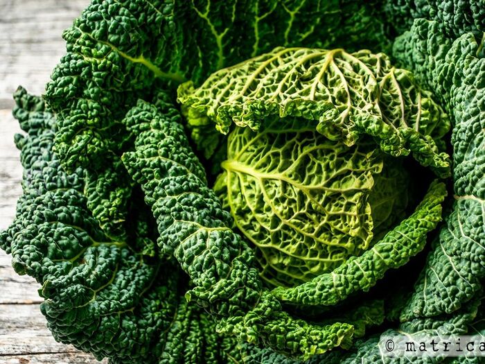 豚肉を大きめのミンチにし、野菜でソフリットをつくる