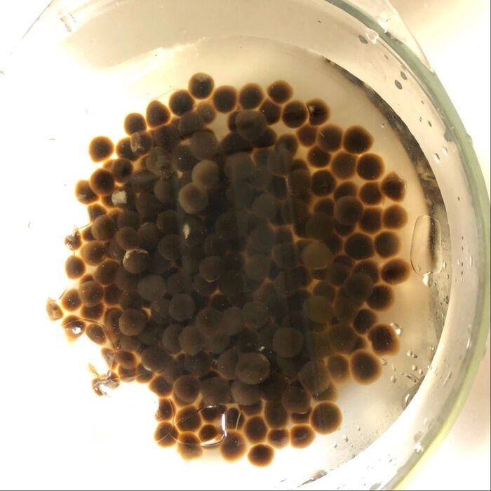 ゆで時間は30秒