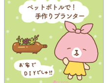 ペットボトルを再利用!プランターを手作りする方法は?