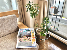 こども新聞、月額¥550でとことん♪活用