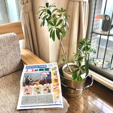 こども新聞、月額¥550でとことん♪活用