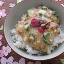 春に食べたい♡桜の塩漬けのっけの納豆を使ったTKG♪