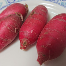 随分赤いさつまいもだねぇ・・・大根だよ!! ((( ̄へ ̄井)