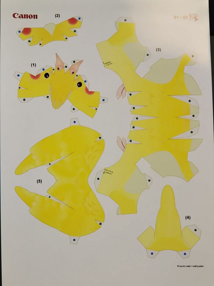 画面のコピー。