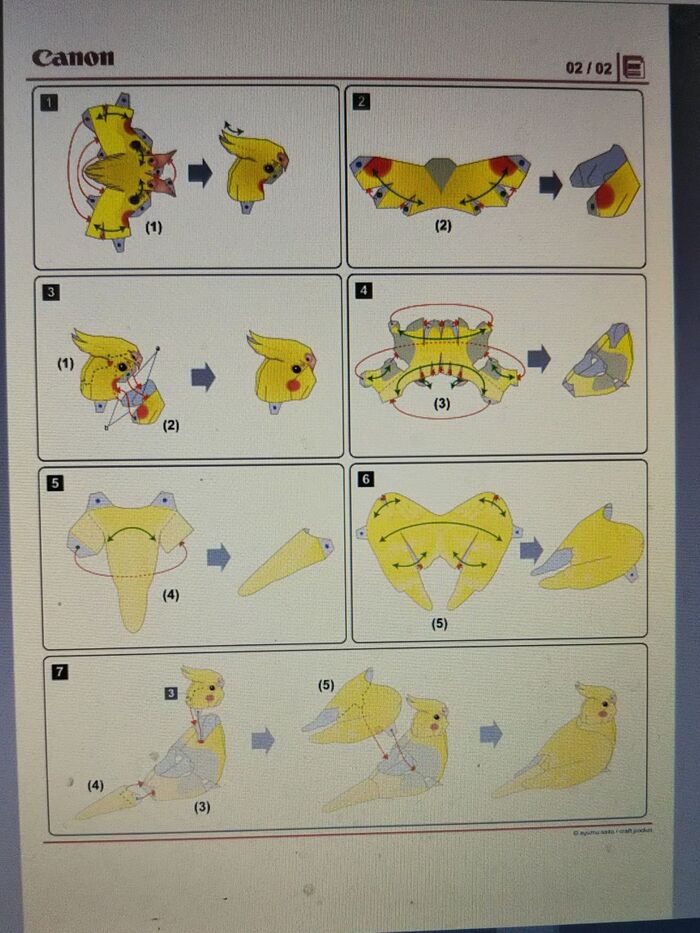 切り取り開始。