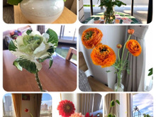 お金をかけない楽しさ!¥0〜¥200生け花