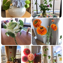 お金をかけない楽しさ!¥0〜¥200生け花