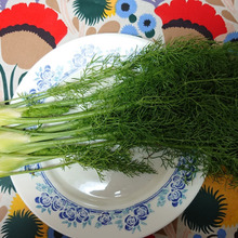 古代ローマ人も食べていた・・・・