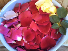 花びらが散り始めたり、今にも散りそうな薔薇…捨てないで!優雅な気分を味わえます!