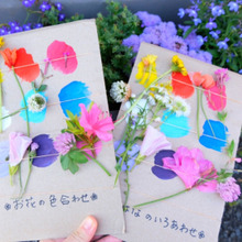 お散歩しながら「お花の色合わせ」をやってみた!