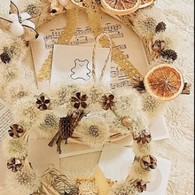 タンポポの綿毛で「リース」を作りました♪お部屋がお洒落になりますよ♪♪