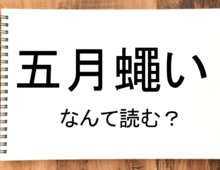 【五月蠅い】って読める?読めない!「読みたい漢字ファイル」vol.37