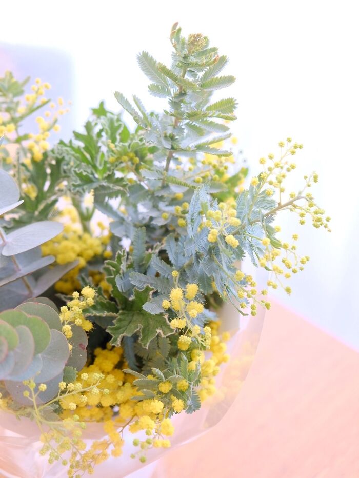 花束をいただいたら、ドライに向いている花だけを選びます。