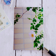 届けて嬉しい♪もらって嬉しい♪キレイなお花を大切な人に届けるアイデア