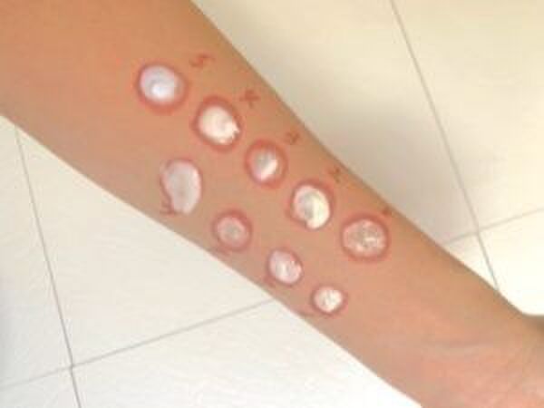 実際に使用しました!