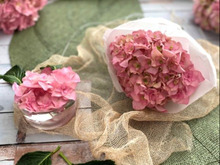 あじさいの楽しみ方