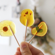 お散歩で出会えるエディブルフラワーでお花飴