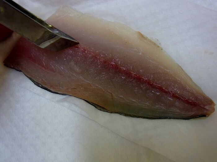 鯵の下処理をします。