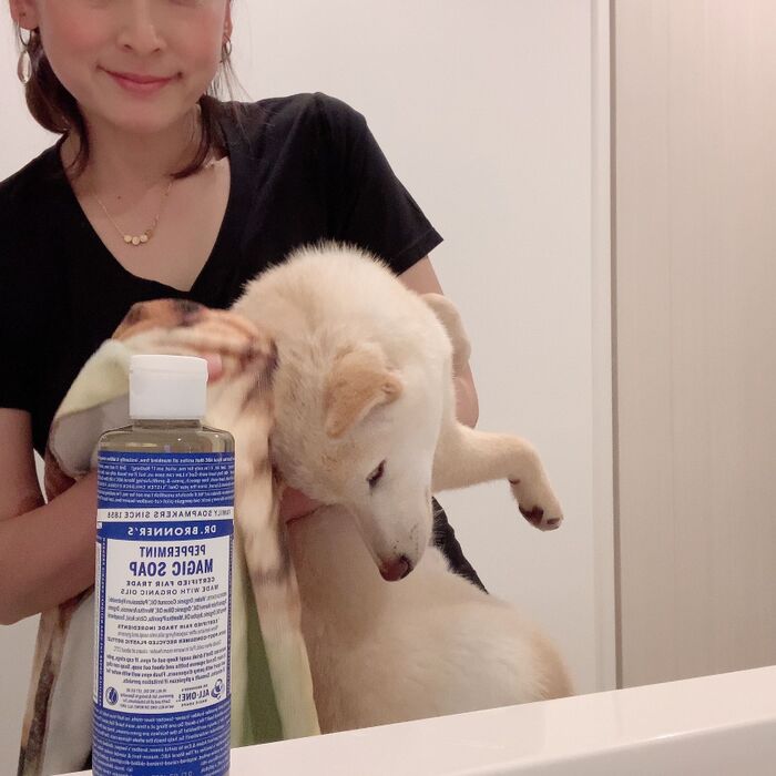 愛犬の部分洗浄