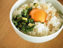 主婦が教える!TKGちょい足しレシピ7連発