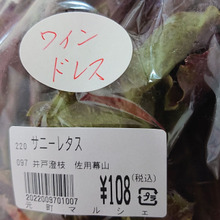 アントシアニンだらけ・・・・・(ワインドレス)