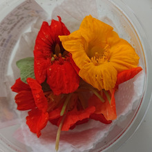 エディブルフラワーですが・・・・葉っぱもきゃわいい!!