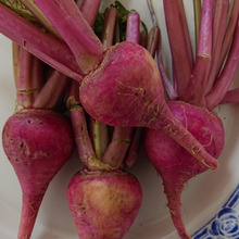 ビーツちゃいます ” あ か か ぶ ”