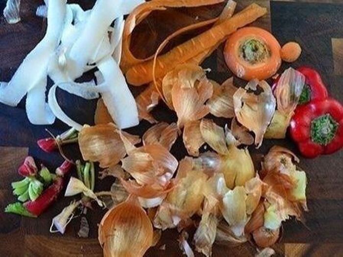 有機野菜の捨てるとこ捨てないで!ベジブロスをストックしよう
