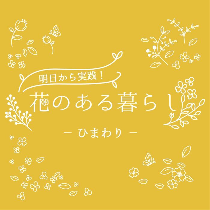 ひまわり(向日葵)をもっと知ろう!花の歴史や花言葉、切り花での楽しみ方