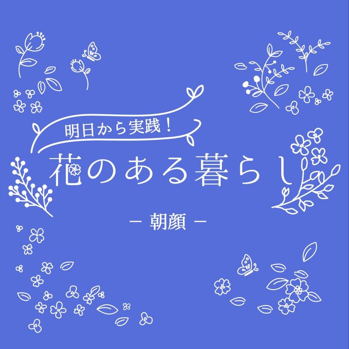 朝顔をもっと知ろう!花言葉や園芸の歴史