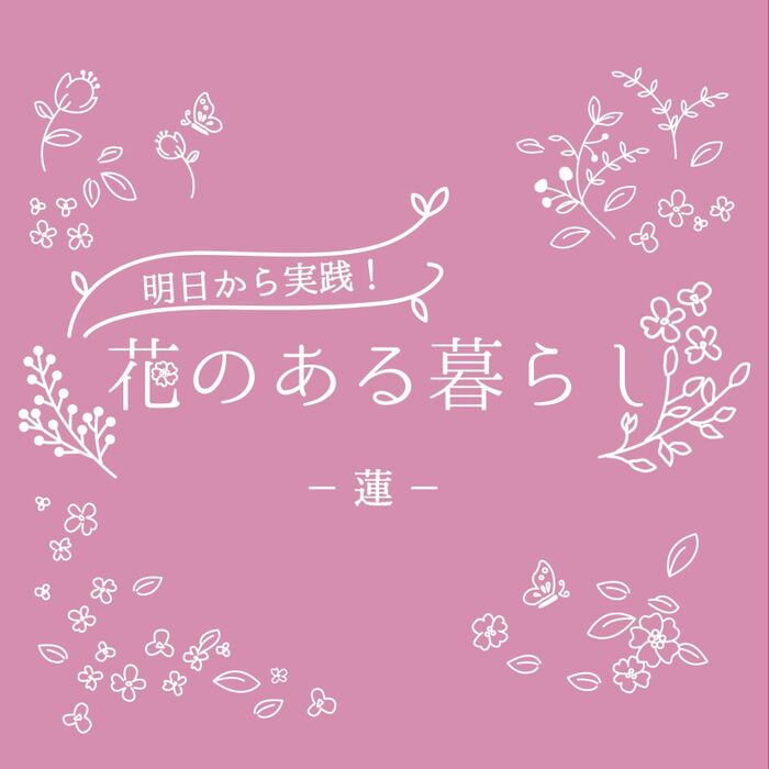 蓮(ハス)をもっと知ろう!花言葉や豆知識