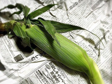 とうもろこしの茹で方、保存法