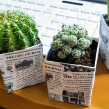 ♡100均のサボテン〜白い鉢を100均の英字新聞柄マスキングテープでおしゃれに!♡