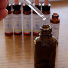 学校生活が不安...子どもの心をサポートしてくれるフラワーエッセンス