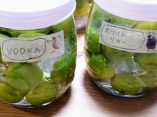 ♡100均のマスキングテープを梅酒瓶のラベルに♡「VODKA」&「ホワイトリカー」2種類の梅酒づくり