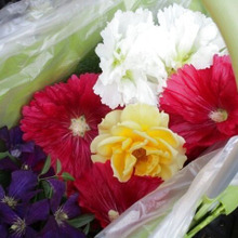 【かごの魅力!意外な使い方!】園芸にも!撮影に使うお花達を綺麗なまま保つには?!♪