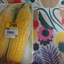 gold rush・・・・・・黄色が密集??