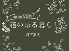 月下美人(ゲッカビジン)をもっと知ろう!基本知識と花言葉