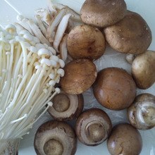 きのこの旨味をUPさせる保存&便利な収納方法