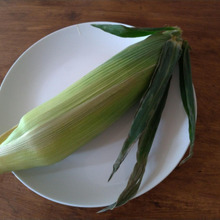 調理中暑くない!美味しいトウモロコシ