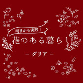 ダリアをもっと知ろう!基本知識と花言葉