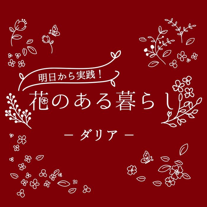 ダリアをもっと知ろう!基本知識と花言葉