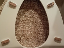 便座が汚れたら貼り替える……簡単な事でした‼