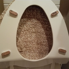 便座が汚れたら貼り替える……簡単な事でした‼