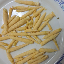 マイクロ ヤングコーン 5mmから40mm size