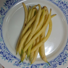 しろいこ 流行??