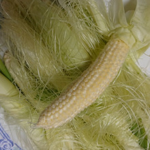 💖💓💖💓❤ ヤングコーン ブランシュ 生食可 💖💓💖💓❤