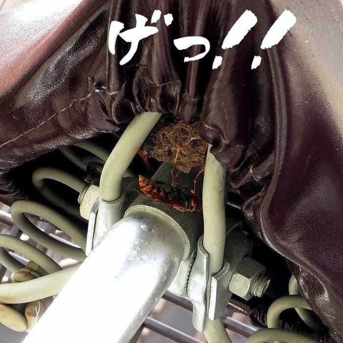 こ、こんなところにっ?!!