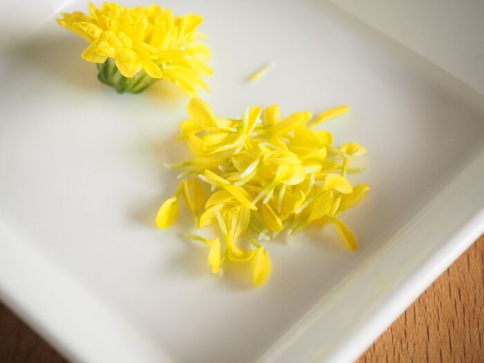 「菊の花」は女性にうれしい栄養の宝庫！