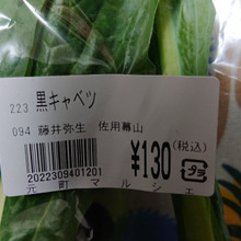 トスカーナ原産、ケールの仲間